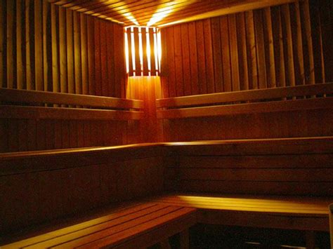 gay sauna antwerp|Gay Antwerp Guide 2025